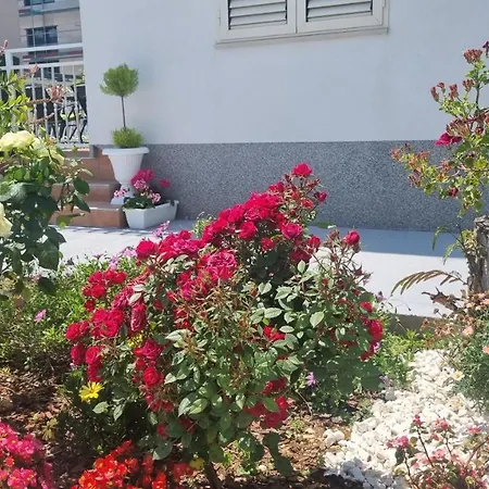 Luxa 5 Min Old Town, 10 Min Airport *